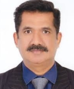 cherian-george